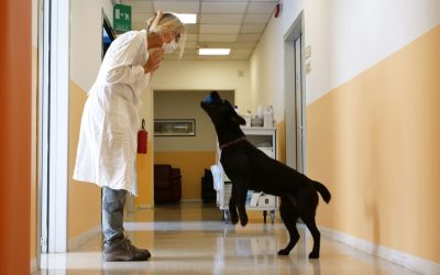 Il covid non ferma la musica … e nemmeno la pet therapy