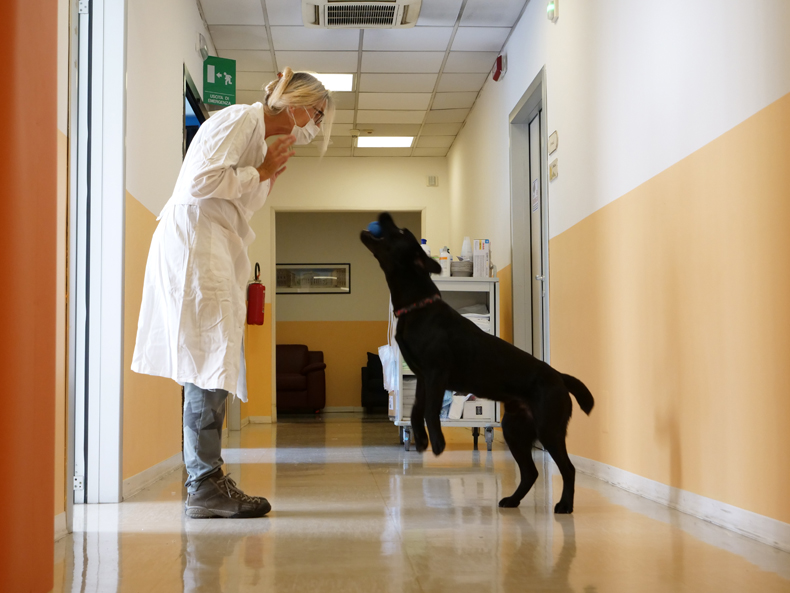 Il covid non ferma la musica … e nemmeno la pet therapy